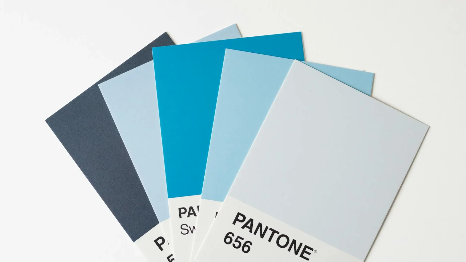 Corporate color swatches on different materials
